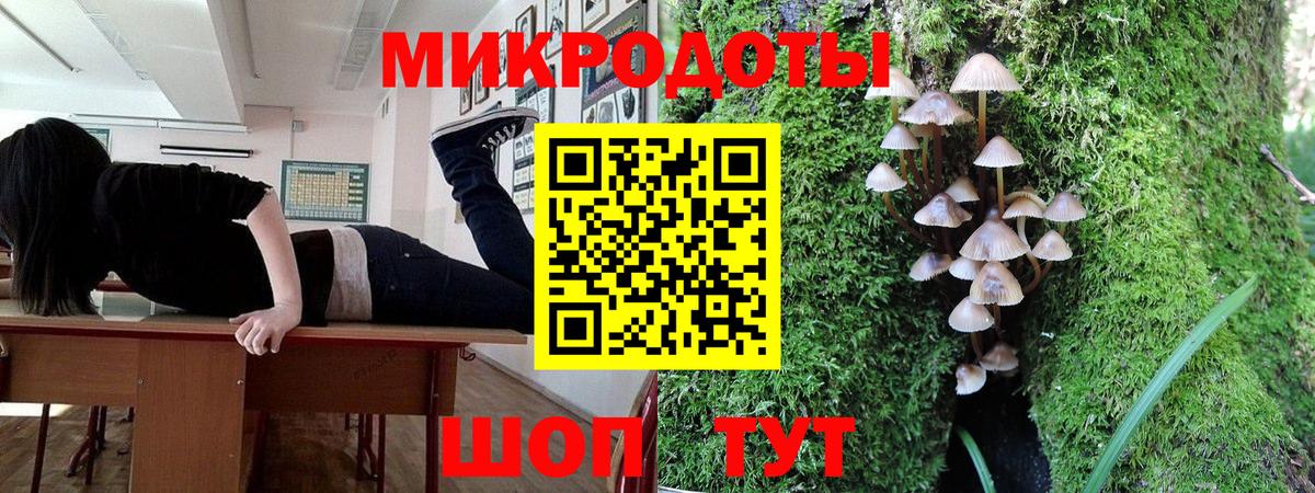 Таганрог  Псилоцибиновые грибы Cubensis  Вход с VPN 