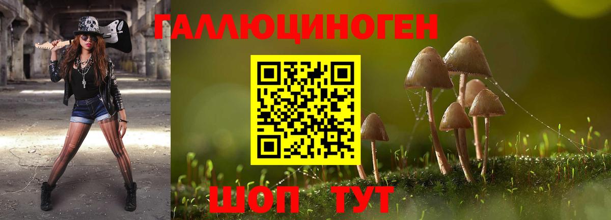 Псилоцибиновые грибы прущие грибы Таганрог