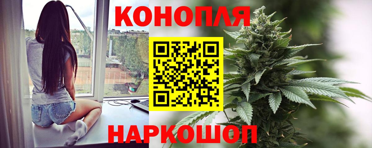 Конопля сатива Таганрог